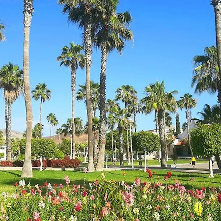 Fresh In Americas, Pe210 Next To The Apartment Arona (Tenerife)